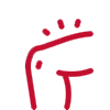 Бедра