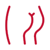 Ягодицы